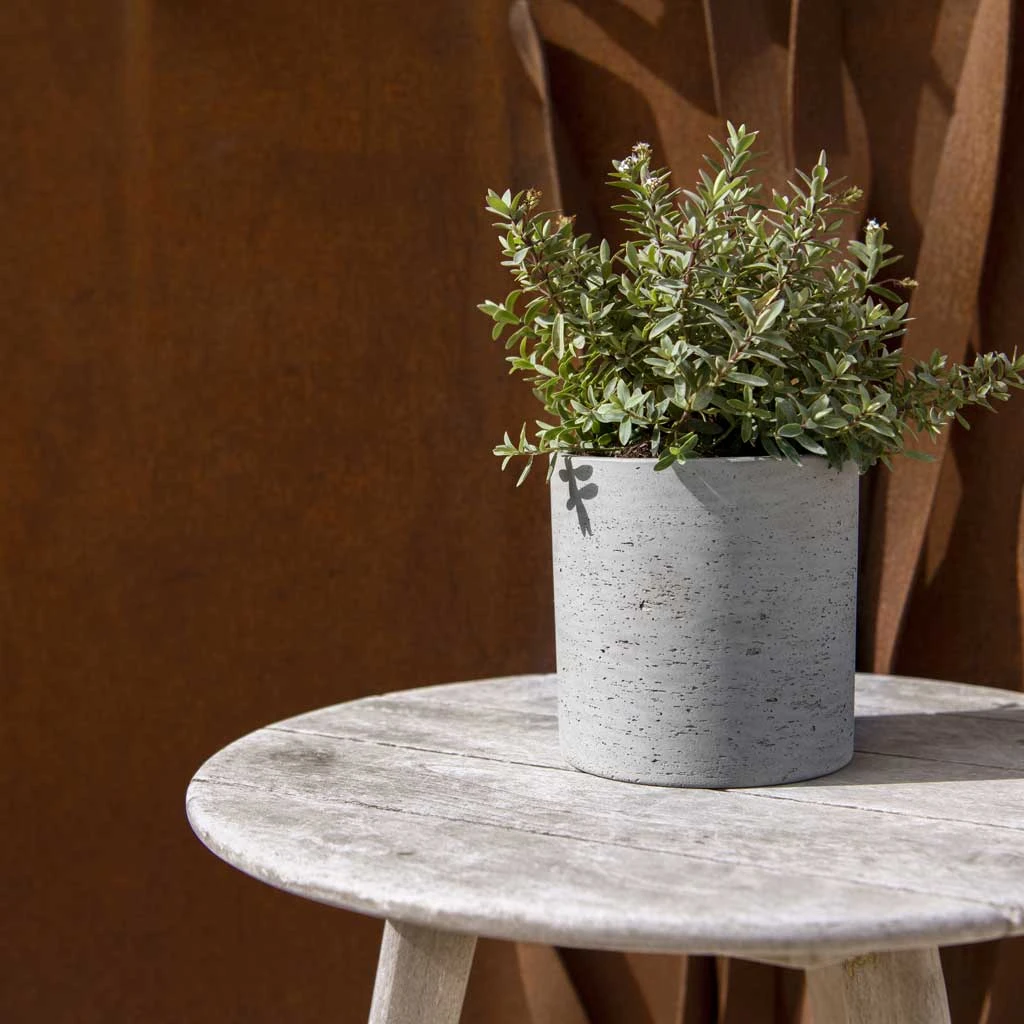 Puk Plant Pot - Grey Washed 4 Puk Plant Pot - Grey Washed - Image 2