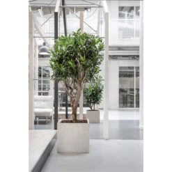 Raindrop Cube Planter - Stone 26 Raindrop Cube Planter - Stone -Plant Promotion Store Raindrop Cube Planter Stone Lifestyle