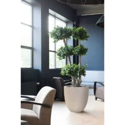 Raindrop Egg Planter - Stone 16 Raindrop Egg Planter - Stone -Plant Promotion Store Raindrop Egg Planter Stone Indoor Plants