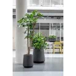 Raindrop Tube High Round Planter - Anthracite -Plant Promotion Store Raindrop Tube High Round Planters Anthracite