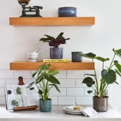 Remmi Glaze Plant Pot - Mocha 19 Remmi Glaze Plant Pot - Mocha -Plant Promotion Store Remmi Glaze Plant Pot Grey 14 x 14cm 6914d736 148e 4de3 8def 092c4e4f5d75