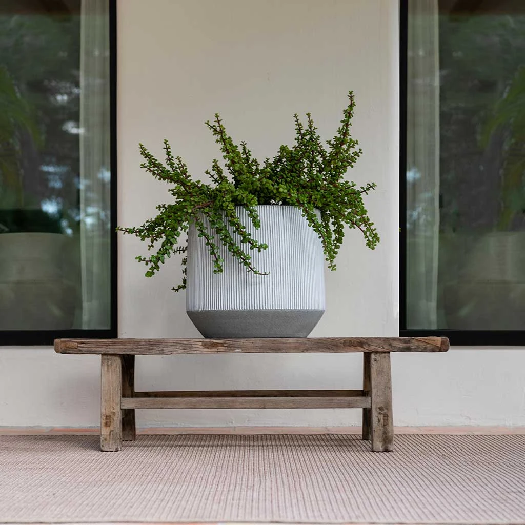 Harith Ridged Plant Pot - White Stripe 4 Harith Ridged Plant Pot - White Stripe - Image 2