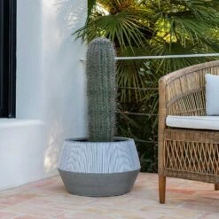 Harley Low Ridged Plant Pot - White Stripe 11 Harley Low Ridged Plant Pot - White Stripe -Plant Promotion Store Ridged Low Harley Plant Pot White Stripe Large Cactus