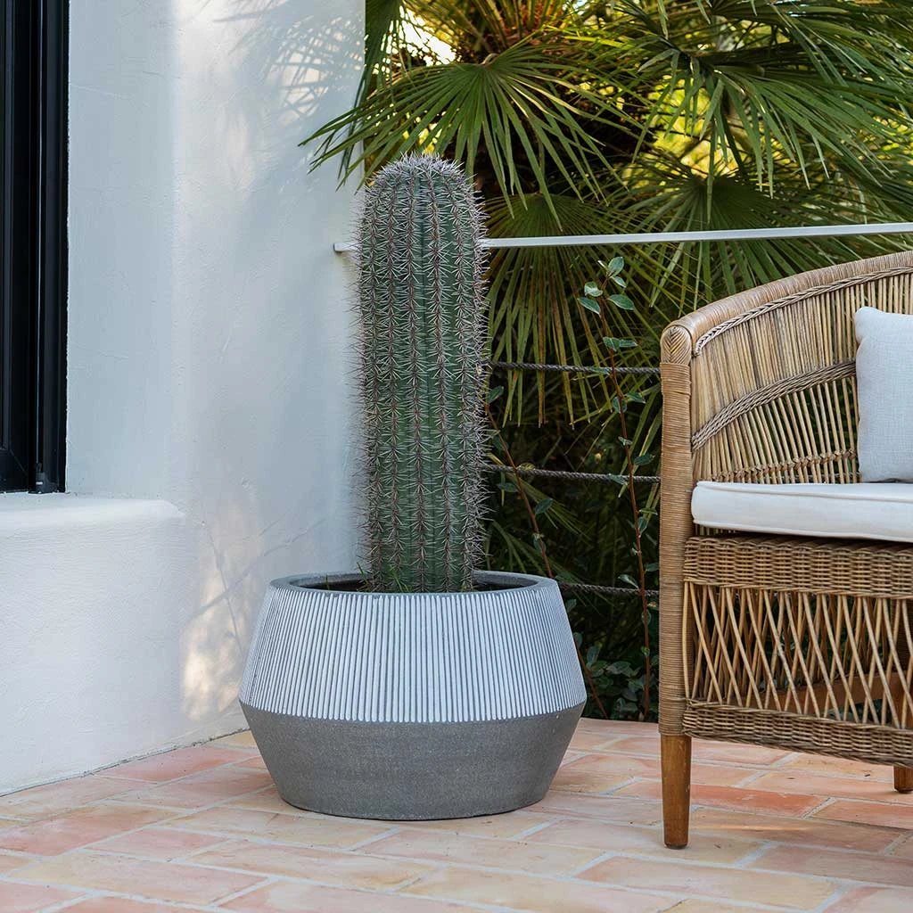 Harley Low Ridged Plant Pot - White Stripe 6 Harley Low Ridged Plant Pot - White Stripe - Image 4