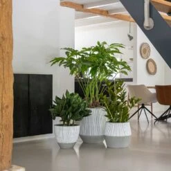 Jesslyn Ridged Plant Pot - White Stripe -Plant Promotion Store Ridged White Stripe Planters 3de83b96 a949 4c68 9448 371e9a4f6605