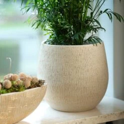 Ryan Plant Pot - Sand Gold -Plant Promotion Store Ryan Plant Pot Sand Gold Parlour Palm