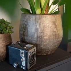 Ryan Plant Pot - Shiny Gold 27 Ryan Plant Pot - Shiny Gold -Plant Promotion Store Ryan Plant Pot Shiny Gold Lifestyle 02