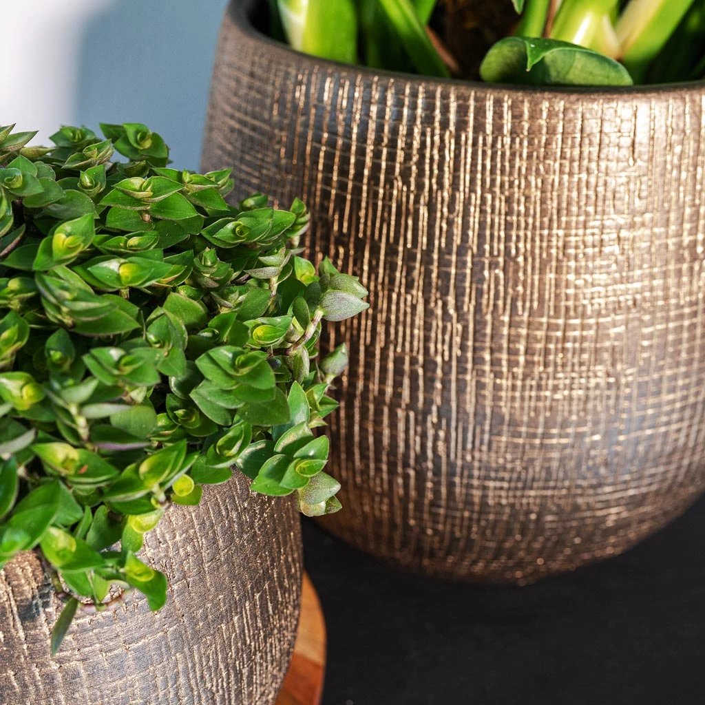 Ryan Plant Pot - Shiny Gold 4 Ryan Plant Pot - Shiny Gold - Image 2