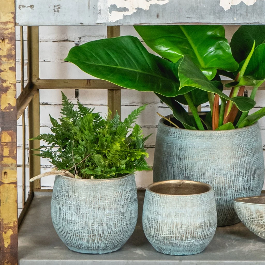 Ryan Plant Pot - Blue Gold 4 Ryan Plant Pot - Blue Gold - Image 2