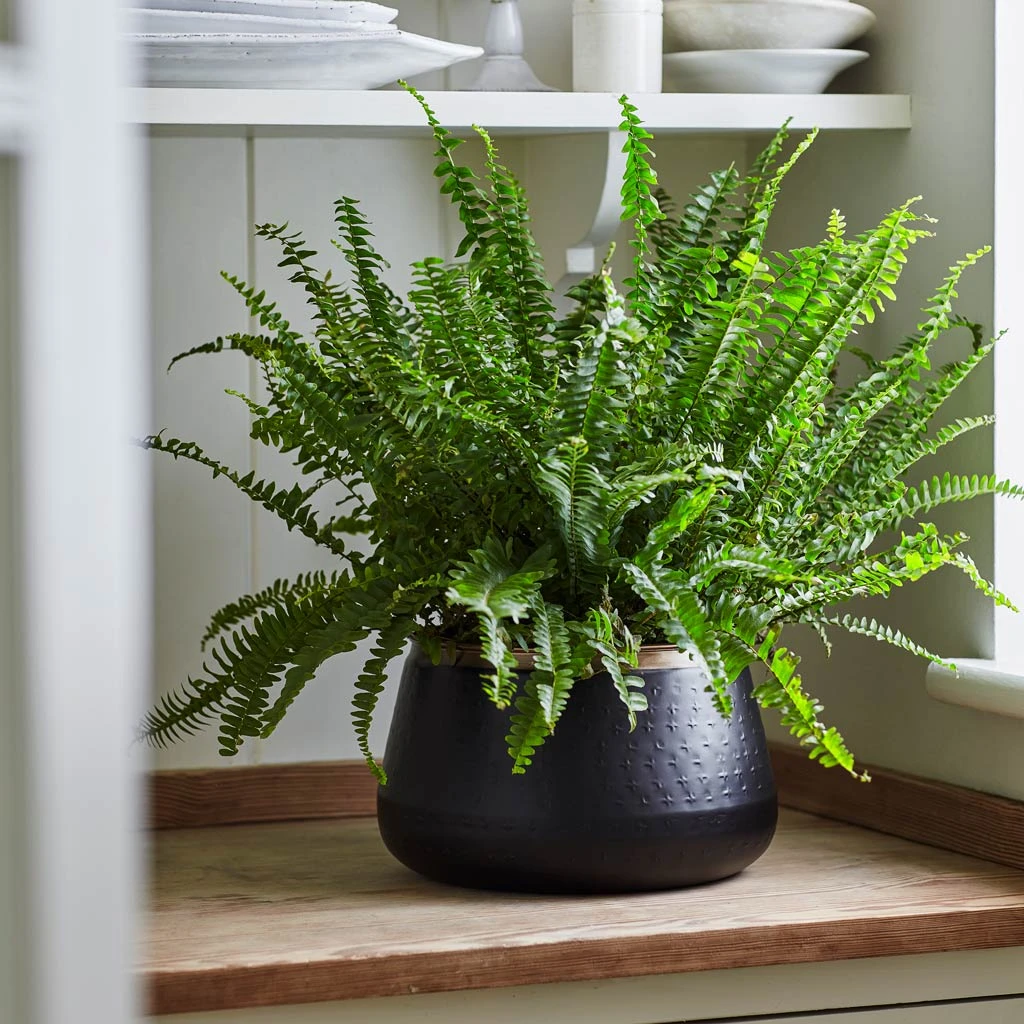 Sahara Plant Pot - Slate 10 Sahara Plant Pot - Slate - Image 8
