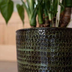 Sanna Plant Pot - Moss Green -Plant Promotion Store Sanna Moss Green 2