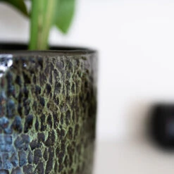 Sanna Plant Pot - Moss Green -Plant Promotion Store Sanna Moss Green 5