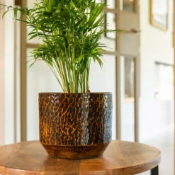 Sanna Plant Pot - Savanna 29 Sanna Plant Pot - Savanna -Plant Promotion Store Sanna Savana 4