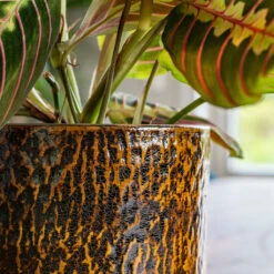 Sanna Plant Pot - Savanna 31 Sanna Plant Pot - Savanna -Plant Promotion Store Sanna Savana 6