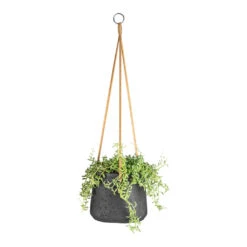 Patt Hanging Plant Pot - Black Washed -Plant Promotion Store Senecio peregrinus String of Dolphins 15x25cm Patt Hanging Plant Pot Black Washed 20x17cm 9dbfe7a9 3c90 4a77 a878 0073280b96dc