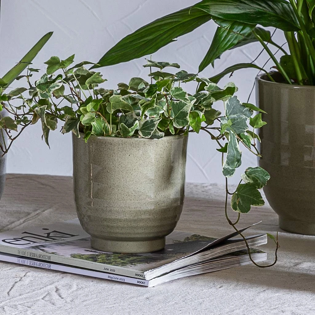 Sofia Plant Pot - Green 4 Sofia Plant Pot - Green - Image 2