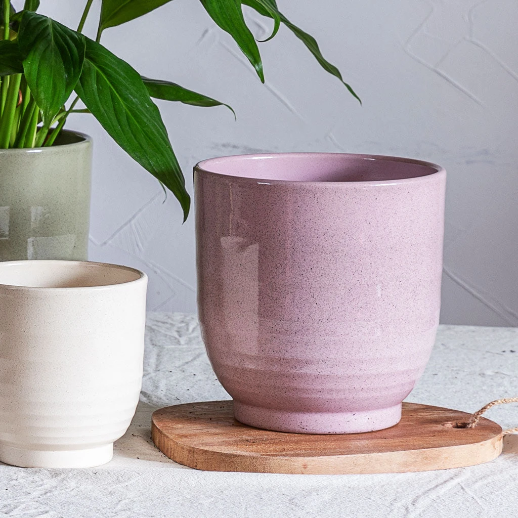 Sofia Plant Pot - Rose 4 Sofia Plant Pot - Rose - Image 2