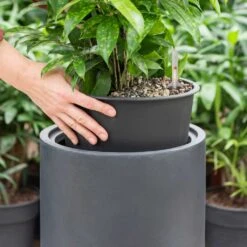 Solid Cylinder Planter - Dark Grey 12 Solid Cylinder Planter - Dark Grey -Plant Promotion Store Solid Cylinder Planter Dark Grey 1
