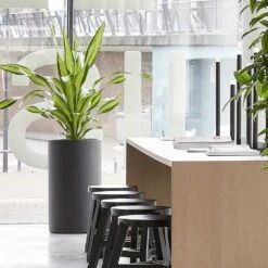 Solid Cylinder Planter - Dark Grey 14 Solid Cylinder Planter - Dark Grey -Plant Promotion Store Solid Cylinder Planter Dark Grey 3