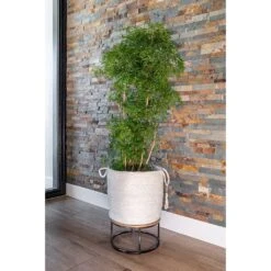 Stefan Plant Basket - Natural -Plant Promotion Store Stefan Plant Basket Natural Indoor Tree