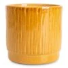 Stella Plant Pot - Mustard 1 Stella Plant Pot - Mustard -Plant Promotion Store Stella Pot Mustard 16x14cm