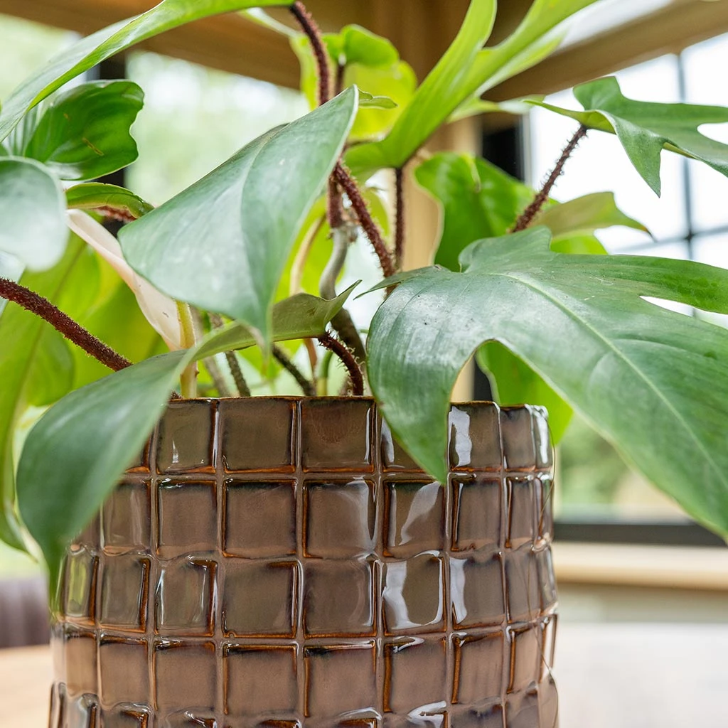 Stian Plant Pot - Lavender Candy 10 Stian Plant Pot - Lavender Candy - Image 8