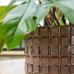 Stian Plant Pot - Lavender Candy 27 Stian Plant Pot - Lavender Candy -Plant Promotion Store Stian Deep Lavender 3