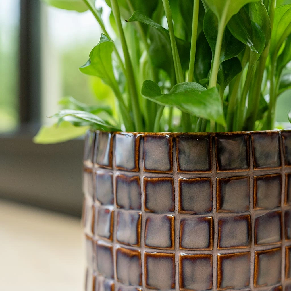 Stian Plant Pot - Lavender Candy 15 Stian Plant Pot - Lavender Candy - Image 13