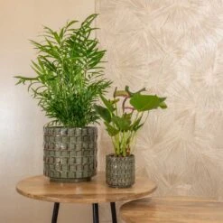 Stian Plant Pot - Moss Green 40 Stian Plant Pot - Moss Green -Plant Promotion Store Stian moss green 02