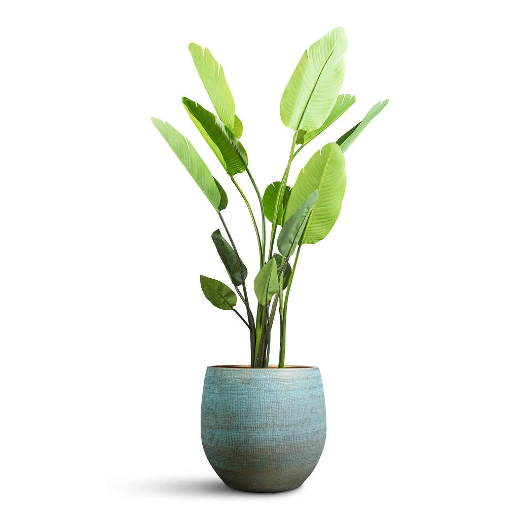 Ryan Plant Pot - Blue Gold 9 Ryan Plant Pot - Blue Gold - Image 7