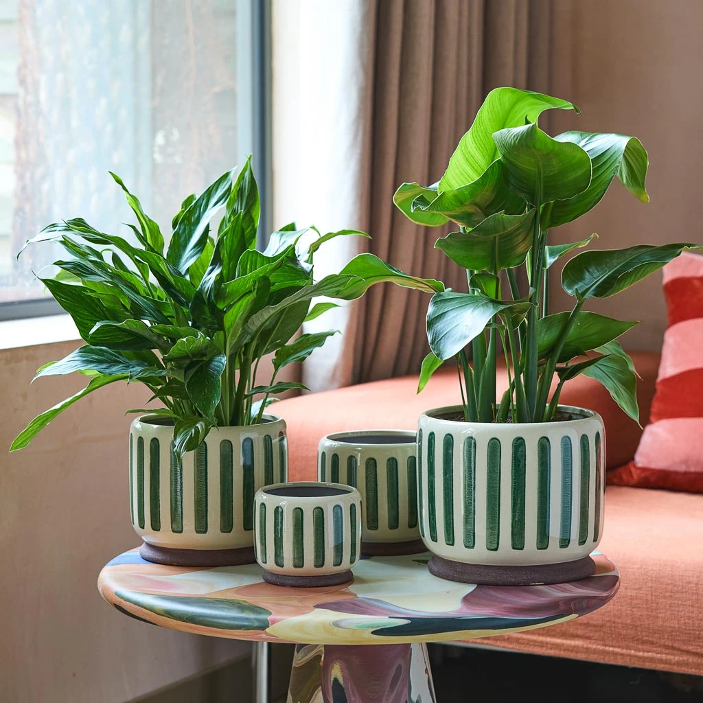 Stripe Plant Pot - Green 6 Stripe Plant Pot - Green - Image 4