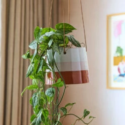 Striped Hanging Plant Pot - Terracotta Blush 11 Striped Hanging Plant Pot - Terracotta Blush -Plant Promotion Store Striped Hanging Pot Terracotta Blush 9.5x9.5cm Lifestyle 2