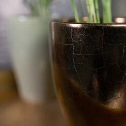 Sven Plant Pot - Gold 29 Sven Plant Pot - Gold -Plant Promotion Store Sven Gold Close Up