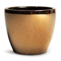 Sven Plant Pot - Gold 25 Sven Plant Pot - Gold -Plant Promotion Store Sven Plant Pot Gold 13x11cm