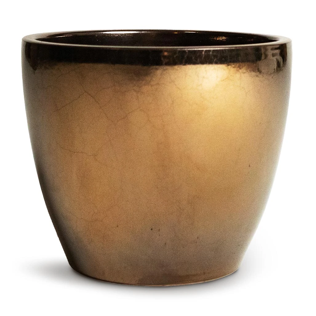 Sven Plant Pot - Gold 9 Sven Plant Pot - Gold - Image 7