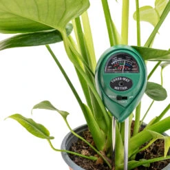 PH Moisture Light Meter - 3in1 -Plant Promotion Store T3 in 1 pH Moisture Light Meter 4