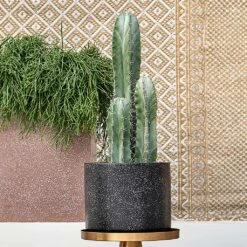 Terrazzo Cylinder Planter - Black 17 Terrazzo Cylinder Planter - Black -Plant Promotion Store Terrazo Cylinder Black Lifestyle