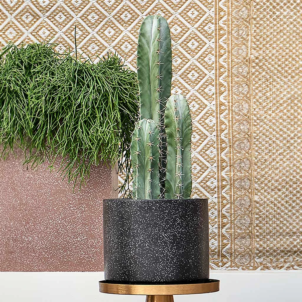Terrazzo Cylinder Planter - Black 9 Terrazzo Cylinder Planter - Black - Image 7