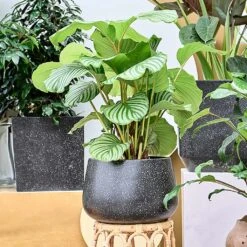 Terrazzo Darcy Planter - Black 23 Terrazzo Darcy Planter - Black -Plant Promotion Store Terrazo Darcy Black Lifestyle