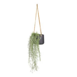 Patt Hanging Plant Pot - Black Washed -Plant Promotion Store Tillandsia Hair Bush Artificial 95cm Patt Hanging Pot Black Washed 20x17cm