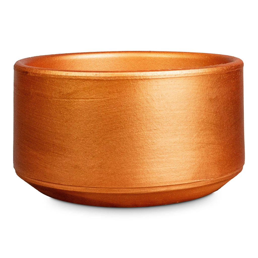 Tivoli Plant Bowl - Copper 3 Tivoli Plant Bowl - Copper