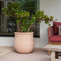 Treasure Nika Planter - Brick Orange -Plant Promotion Store Treasure Nika Planter Brick Orange Lifestyle1