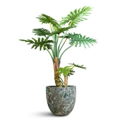Lava Couple Relic Planter - Jade -Plant Promotion Store Tree Philodendron Artificial 130cm Lava Couple Relic Planter Jade 36x34cm