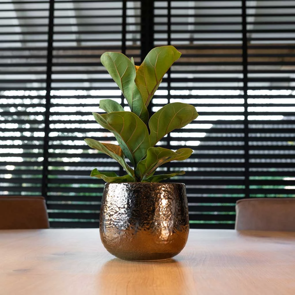 Yvette Plant Pot - Gold 12 Yvette Plant Pot - Gold - Image 10