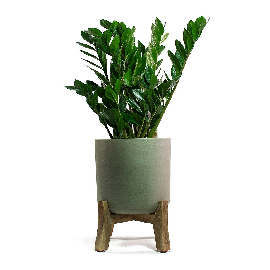 Charlie Plant Pot - Low Stand - Grey Washed 9 Charlie Plant Pot - Low Stand - Grey Washed - Image 7