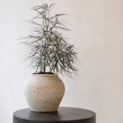 Zeus Mediterranean Planter - Chalk White -Plant Promotion Store Zeus Mediterranean Planter Chalk White Lifestyle 2