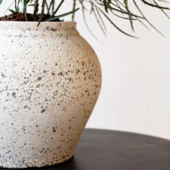 Zeus Mediterranean Planter - Chalk White -Plant Promotion Store Zeus Mediterranean Planter Chalk White Lifestyle