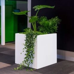 Block Essentials Planter - Matt White 17 Block Essentials Planter - Matt White -Plant Promotion Store block planter essential matte white indoor plants