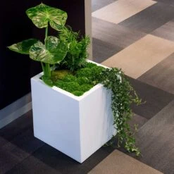 Block Essentials Planter - Matt White 15 Block Essentials Planter - Matt White -Plant Promotion Store block planter essential matte white indoor plants cube
