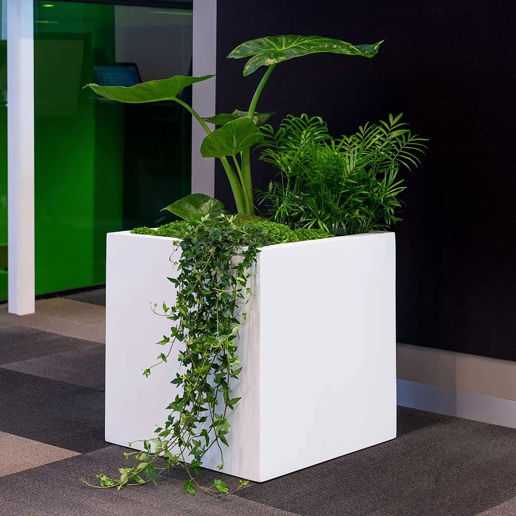 Block Essentials Planter - Matt White 8 Block Essentials Planter - Matt White - Image 6